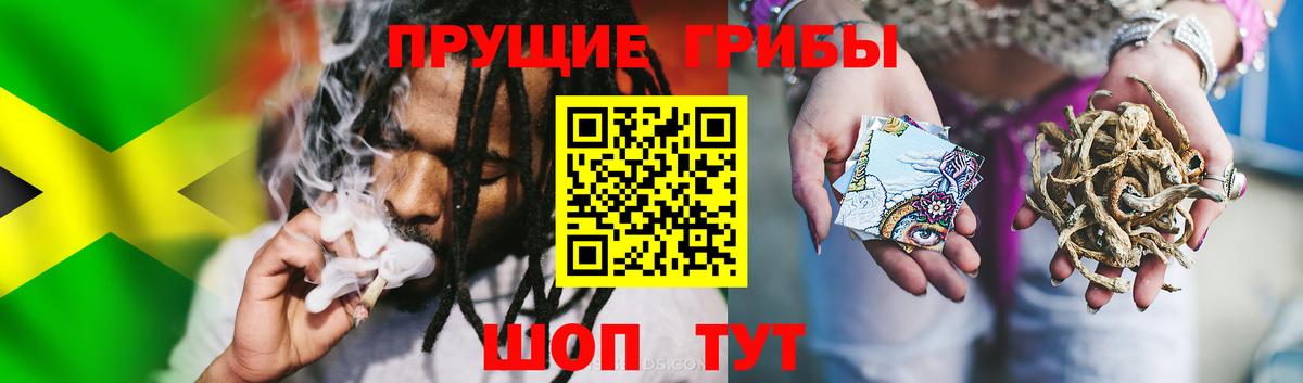 Галлюциногенные грибы мицелий Нововоронеж